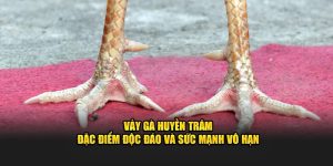 Vảy Gà Huyền Trâm – Đặc Điểm Độc Đáo và Sức Mạnh Vô Hạn